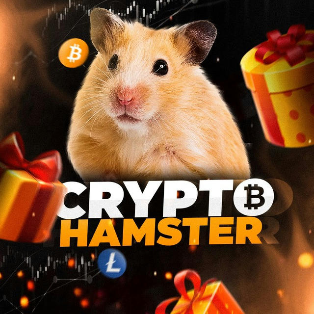 Hamster Box 🐹