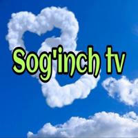 SOG'INCH TV