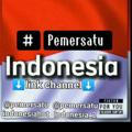 Pemersatu Indonesia