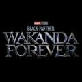 BLACK PANTHER VAKANDA FOREVER( HINDI )👌