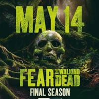🇫🇷 Fear the Walking Dead VF FRENCH Saison 8 7 6 5 4 3 2 1 Intégrale