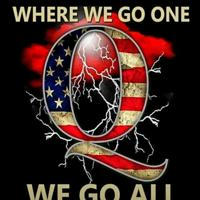 We_Are_Q!🐸IS NOT