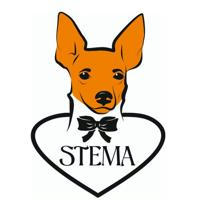 STEMA | Одежда для маленьких собак