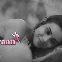 Titliyaan Ullu Web Series