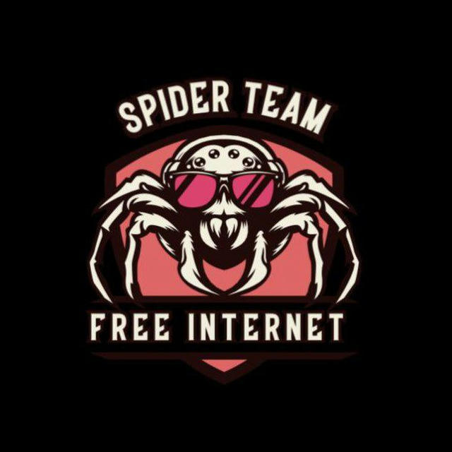 Spider Team