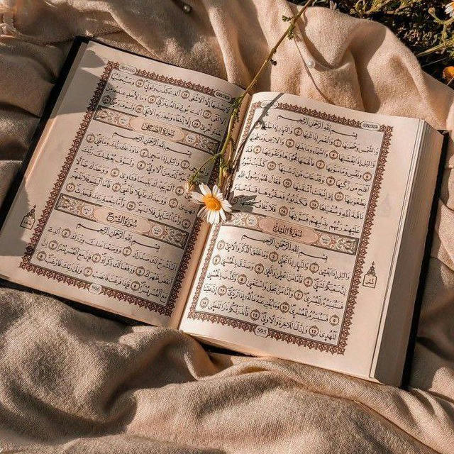 Quran karim قرآن كريم
