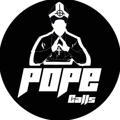 Pope calls