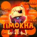 Timokha team