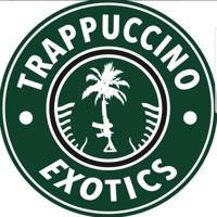 Trappuccino jokesup