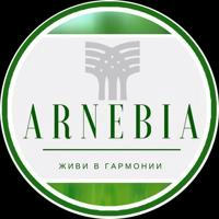 Arnebia_official