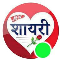 Daily Shayari In Hindi शायरी