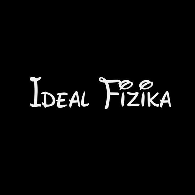 Ideal Fizika. 2024.