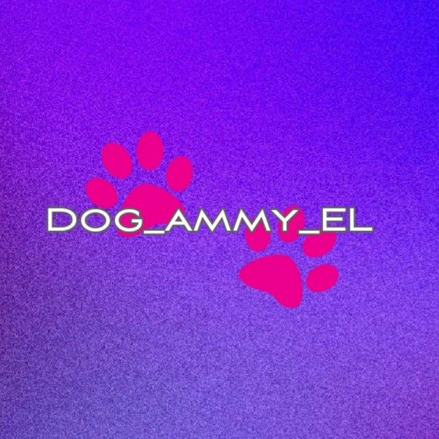 Dog_ammy_EL
