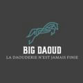 BIG DAOUD