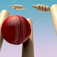 Cricket its Unpredictable