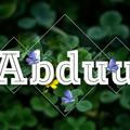 Abduu