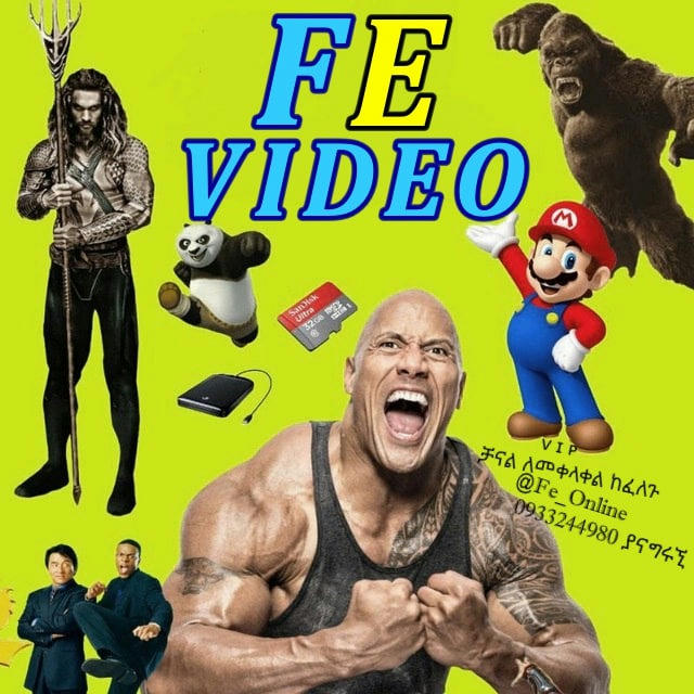 FE VIDEO