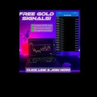 Forex MarKet VIP Single