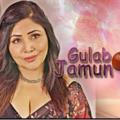 Gulab jamun part 2 kooku Webseries