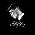 Shelby | MUSIC🍇