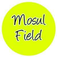 Mosul Field