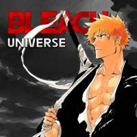 Bleach Universe