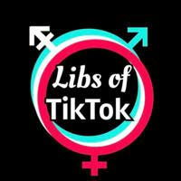 Libs of TikTok Fans