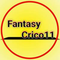 Fantasy Crico 11