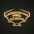 Uzbekistan Pro Scrims | UPS