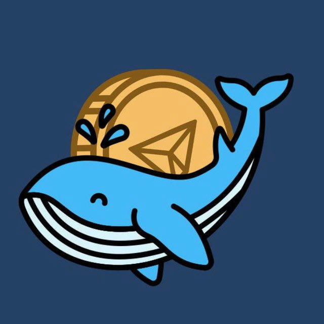 Crypto Whale | Новини | Аналітика