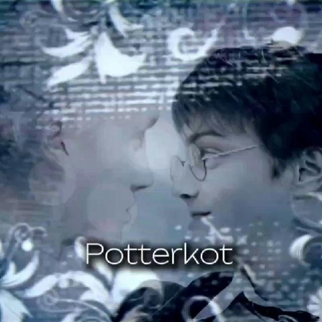 Potterkot