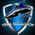 Vega Squadron