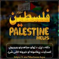 فلسطین نیوز Plastin News