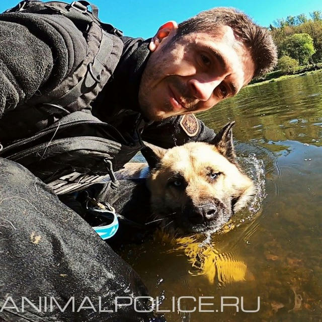 Animalpolice.ru🐶🐱🇷🇺