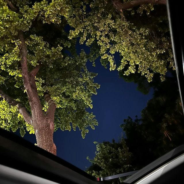 Сокин🌙)