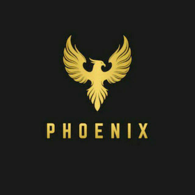 Phoenix Academy