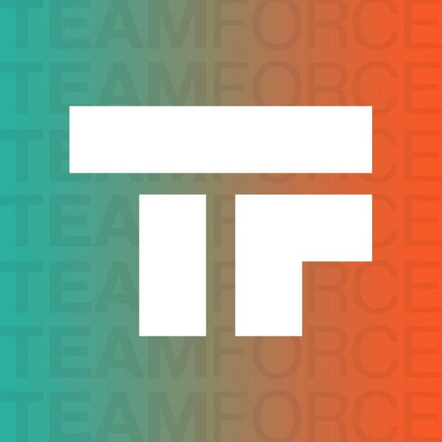 TEAM FORCE LLC