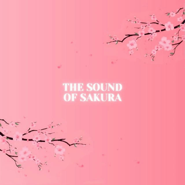 The sound of sakura