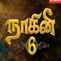 Naagini 6 Tamil