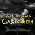 Aytolmagan Gaplarim