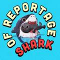 Shark of reportage | NEWS