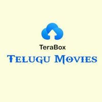Telugu Terabox movies