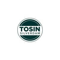 Tosin Silverdam Media/Blog