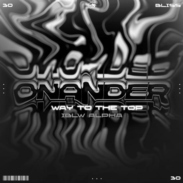 ONANDER | WAY TO THE TOP