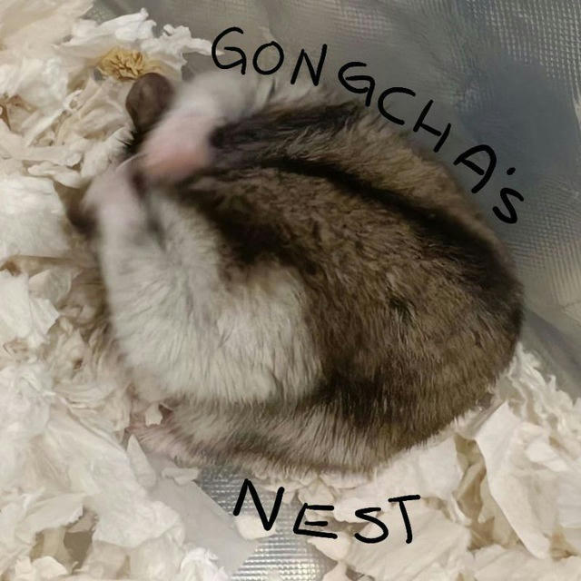 Gongcha's Nest