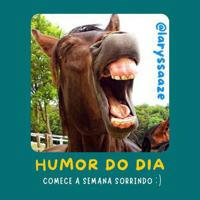 🤣 Humor do Dia 🤣