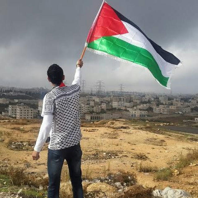 DISLIKE ( Free Palestine )