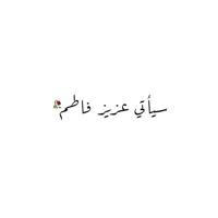 يووسفُ آلُِزهـرآء 313 ❤️