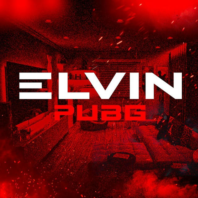 ELVIN PUBG