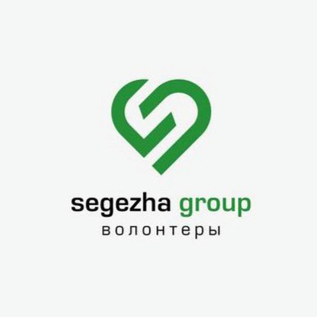 Волонтеры Segezha Group